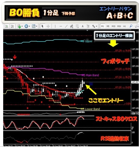 1b