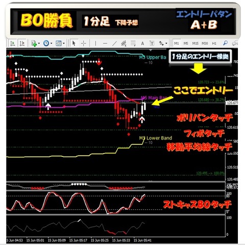 1b