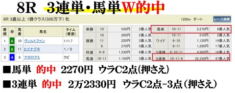 新潟8R