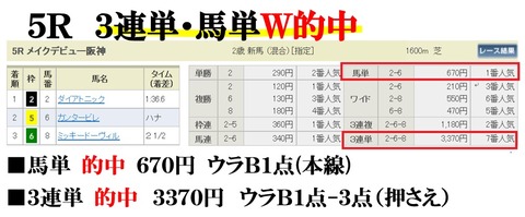 阪神5R