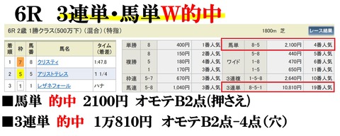 阪神6R
