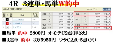 阪神4R