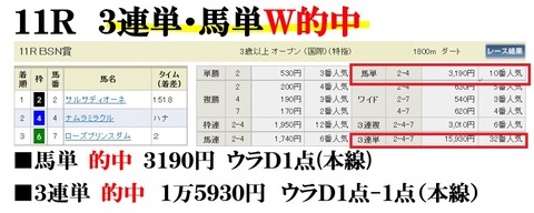 新潟11R