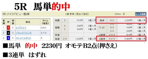 阪神5R