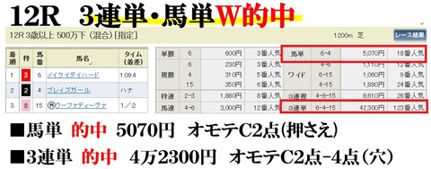 阪神12R