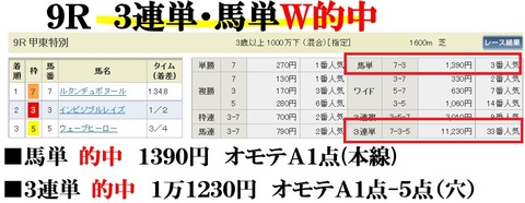 阪神9R