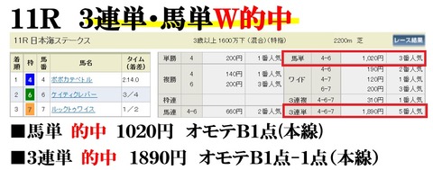 新潟11R