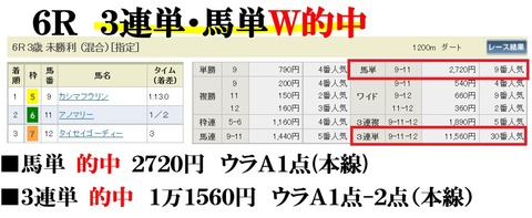 新潟6R