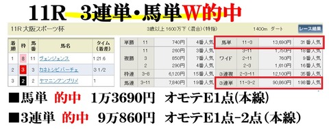 阪神11R