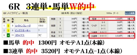 新潟6R
