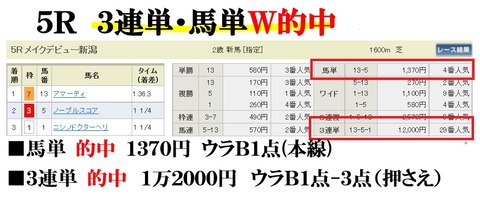 新潟5R