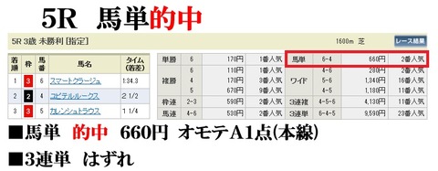 阪神5R