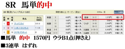 新潟8R