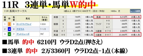 新潟11R