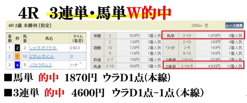 阪神4R