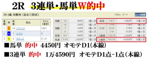 阪神2R