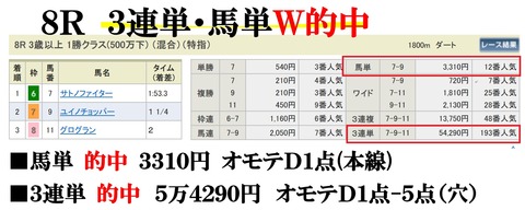 新潟8R