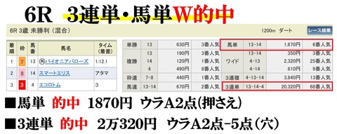 新潟6R
