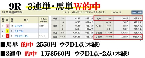 新潟9R