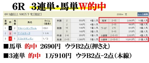 新潟6R