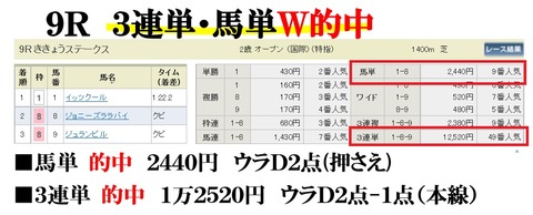 阪神9R