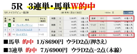 阪神5R