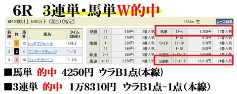 新潟6R