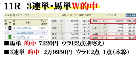 東京11R