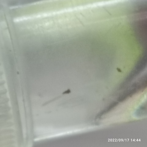 IMG_20220917_144427