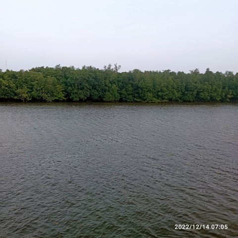 IMG_20221214_070545