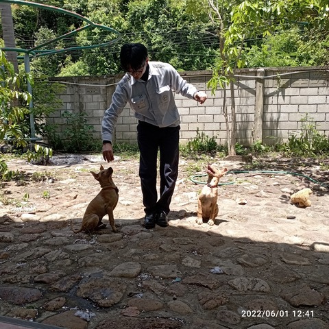 IMG_20220601_124109