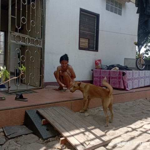 IMG_20230425_123730