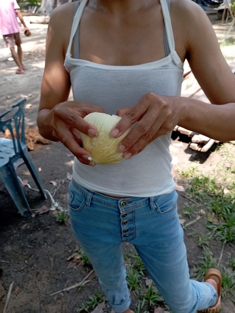 IMG_20220313_121600