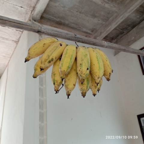 IMG_20220910_095959