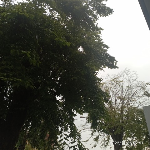 IMG_20221206_075708