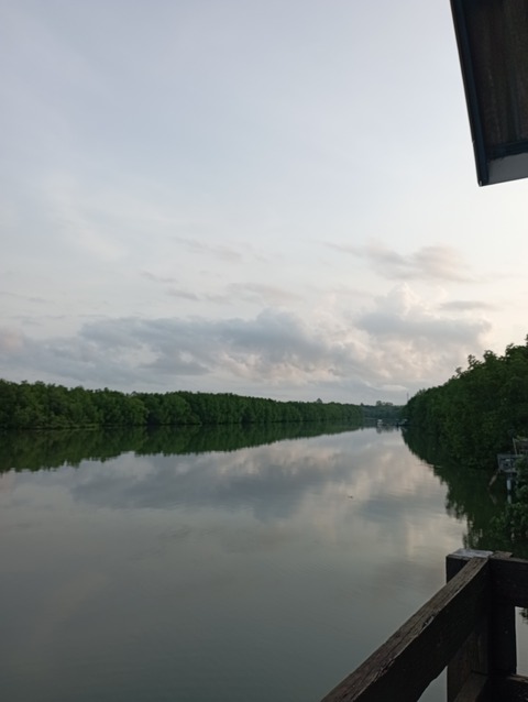 IMG_20220316_070708