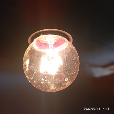 IMG_20220716_144531