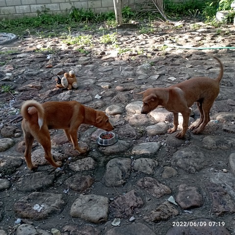 IMG_20220609_071917