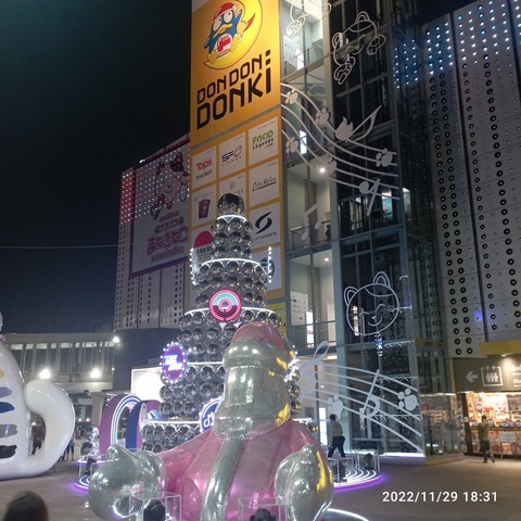 IMG_20221129_183152
