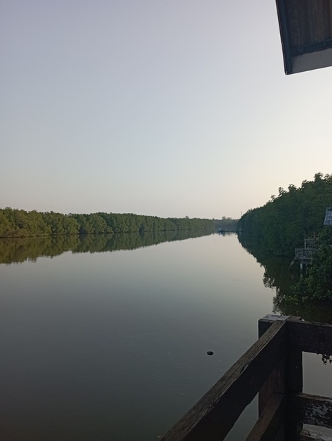 IMG_20220303_072538