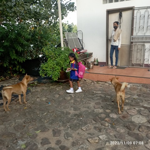 IMG_20221109_070815