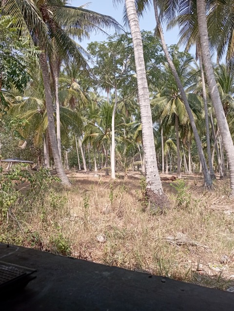 17148774695564586599422890122626