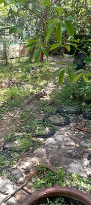 received_1142055626617221