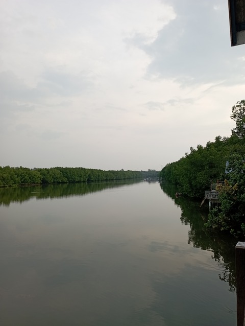 IMG_20220401_064307