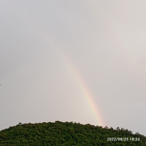 IMG_20220825_182345