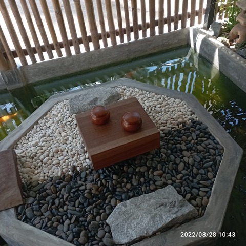 IMG_20220828_104319
