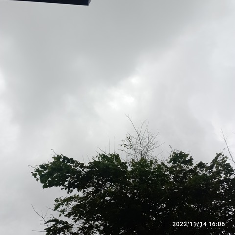 IMG_20221114_160631