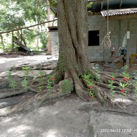 IMG_20220612_125236
