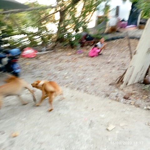IMG_20230316_181727