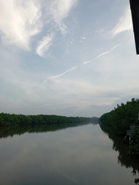 IMG_20220323_065831